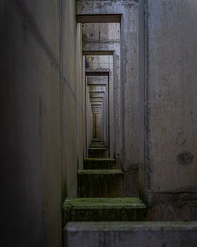 durch Blick ins Leben