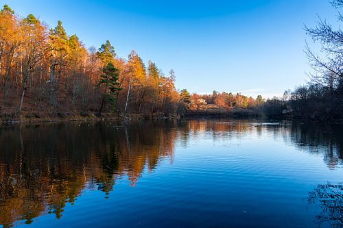 Germany, Stunning herfstkleuren van bosbomen reflecterend in vredig meerwater