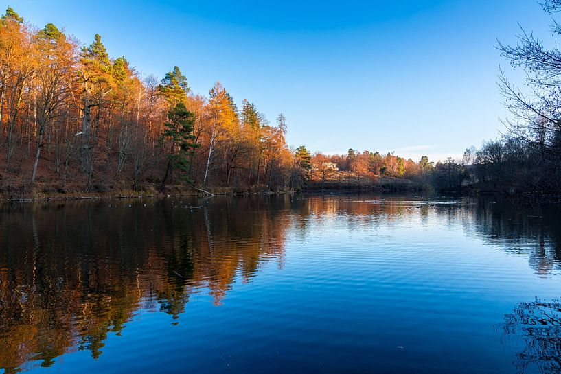 Allemagne, couleurs d'automne étonnantes d'arbres forestiers se reflétant dans l'eau d'un lac paisib par adventure-photos