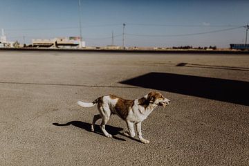 Die Straßen von Jordanien von Britt Laske