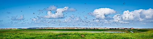 Panoramic view of Midsland, Terschelling