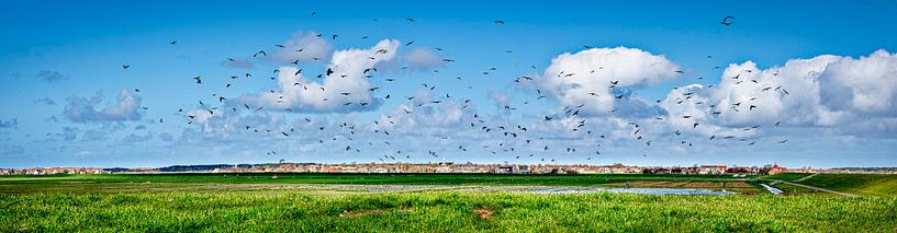 Panoramisch uitzicht op Midsland, Terschelling van Rietje Bulthuis