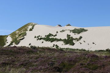 Wanderdüne bei List auf Sylt
