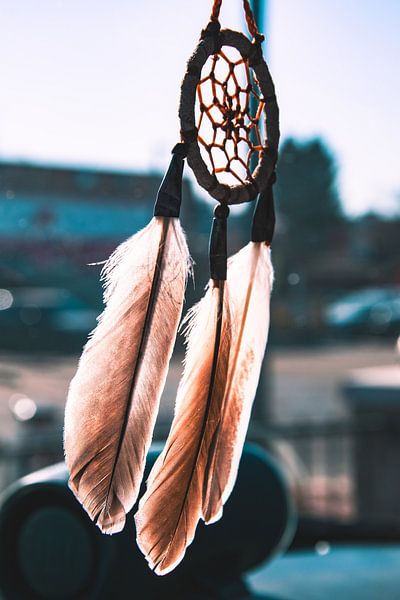Dream Catcher by Hello Pompoyo