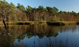 Pingo ruin at the Diakonieveen in Friesland