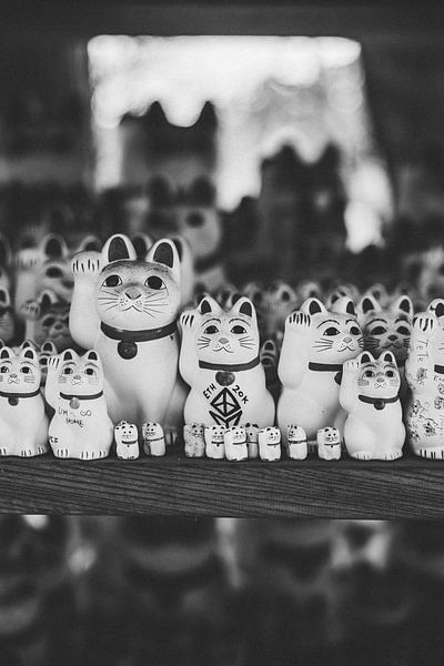 Les chats chanceux de Tokyo : un symbole de prospérité et de bonheur par Ken Tempelers