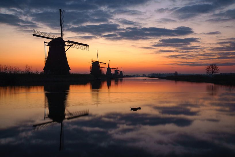 Dutch Colors par Martin Podt