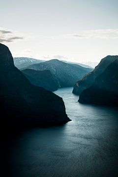 Aurlandsfjord van Pascal Deckarm
