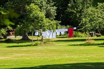Le linge est suspendu au soleil pour sécher parmi les arbres fruitiers.