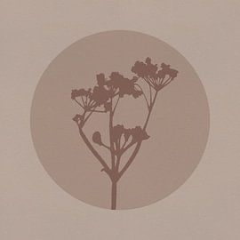 Botanique japonaise dans les tons neutres de beige et de marron. Fleurs. sur Dina Dankers