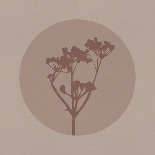 Japandi botanisch in neutraal beige en bruin. Bloemen.