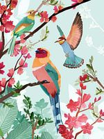 Summer birds