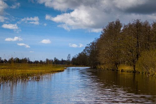 Canal quelque part à Giethoorn