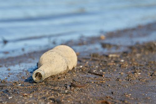 Déchets sur les rives de l'Elbe