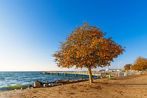 Promenade und Seebrücke im Herbst in der Stadt Sassnitz auf der