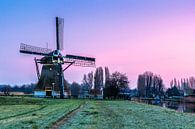 De Schaapweimolen in Rijswijk, Nederland van Gijs Rijsdijk thumbnail