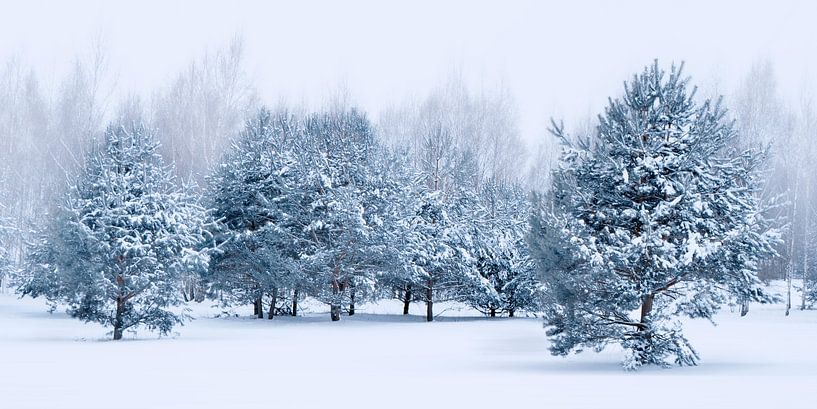 Hiver bleu par Violetta Honkisz