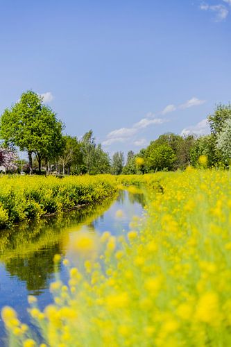 De geleenbeek in Nieuwstadt (limburg)