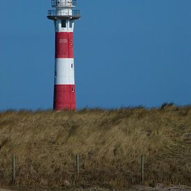 Leuchtturm von Newport von Tom Eeckhout