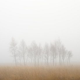 Minimalistisch Mistlandschap – Natuur Wanddecoratie voor Canvas, ArtFrame™ & HD Metal van John Goossens Photography