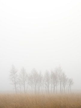 Misty Landscape Wall Art – Nature Print on Canvas, HD Metal & Acrylic by John Goossens Photography
