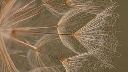 Natuurlijke rust: panorama van subtiele natuurlijke schoonheid