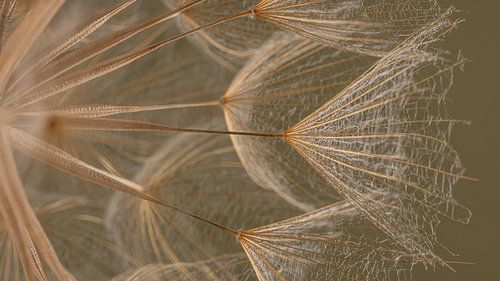 Natuurlijke rust: panorama van subtiele natuurlijke schoonheid van Marjolijn van den Berg