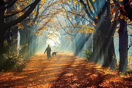 Nebliger Herbsttag von Niels  de Vries