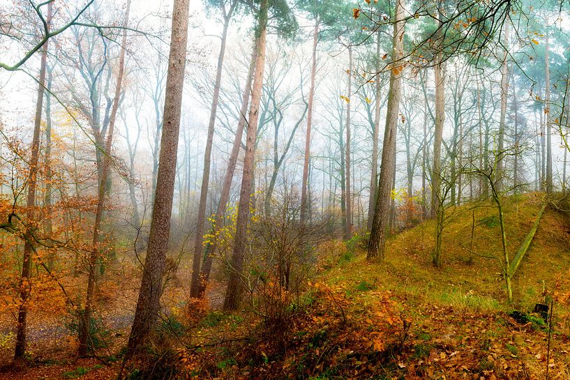 Herfst - boslandschap in herfstkleuren van Günter Albers