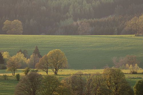 Sonnenuntergang in den Ardennen