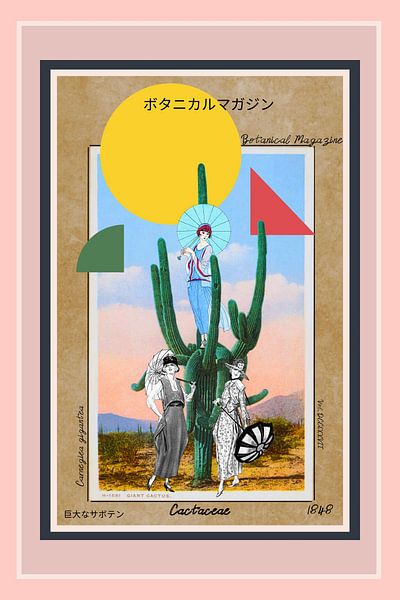 Carnegiea Gigantea by Filipe Armond