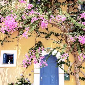Greece street floral door by IamHome Studio