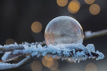 Bevroren zeepbel op berijpte tak van Heidi Bol