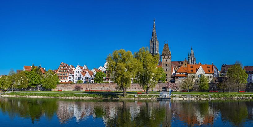 Ulm von Walter G. Allgöwer
