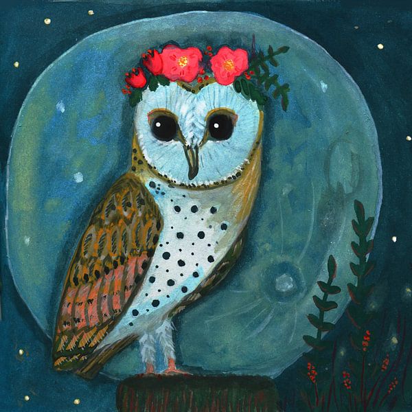 barn owl in moonlight by Anita Letuve