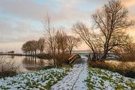 Winters landschap met bruggetje von Ruud Morijn Miniaturansicht