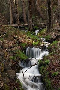 Water Running van Cornelis (Cees) Cornelissen