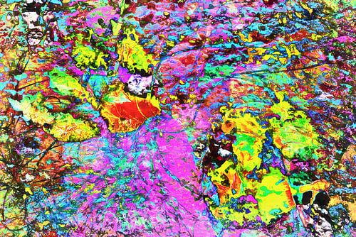 Paw Prints Vang me als je kunt