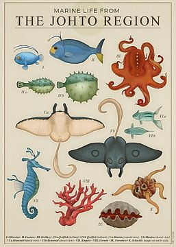 Marine Life from Johto