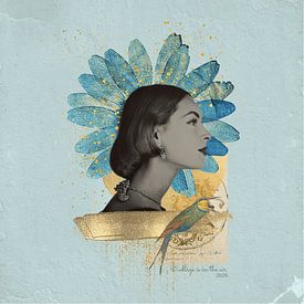 collage is in the air Profile picture