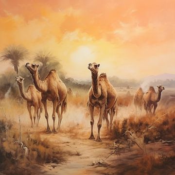 Sahara kamelen van The Xclusive Art