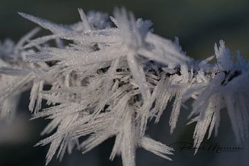 ijskristal van Pascal Mairesse