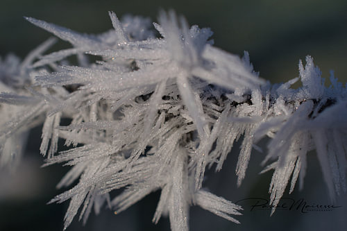 ice crystal