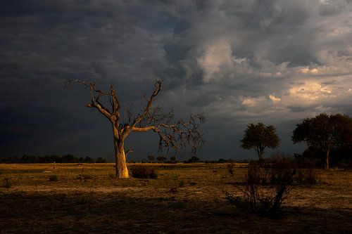 Le lever de soleil dramatique
