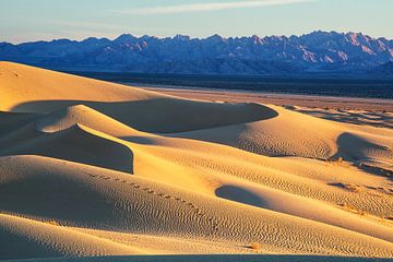 Sand Dunes van Walljar