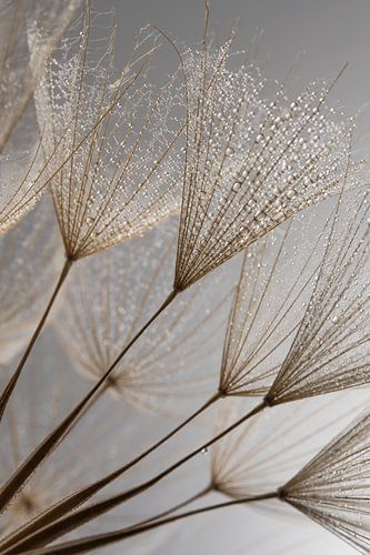 Beautiful Fluffy by Marjolijn van den Berg