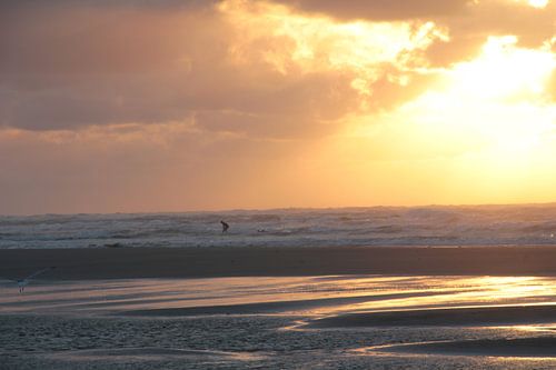 Ameland surfer