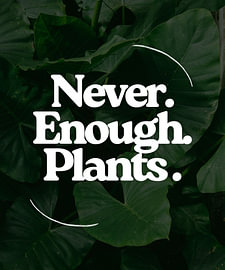Never Enough Plants Funny Plant Lover Quote Design Bold Typography Botanical Green Leaves Gift for Plant Parents by xtrendit studio