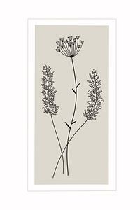 Pure Nature Edition Gray I