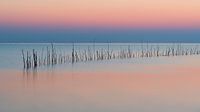 Zonsondergang aan de Oosterschelde
